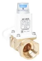 Remove-bg.ai_1729516440077 1