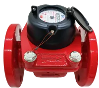 IMG_20250919_134530-no-bg-preview (carve.photos) 1