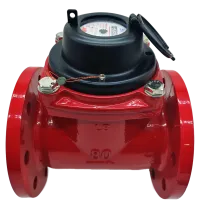 IMG_20251021_124723-no-bg-preview (carve.photos) 1