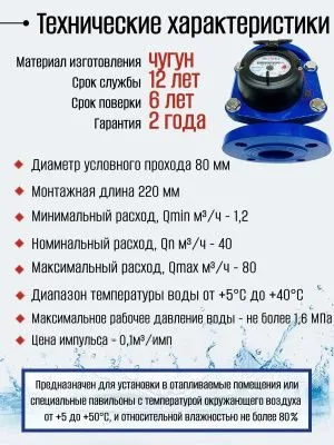 Счетчик воды ЭКОМЕРА-80И Холодный Фланцевый Импульсный