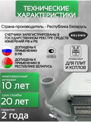 Счетчик газа СГД 3Т G 6 250 мм правый