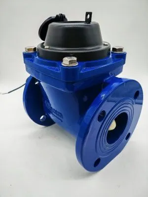 Счетчик воды ЭКОМЕРА-65И Холодный Фланцевый Импульсный