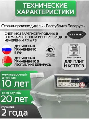 Счетчик газа СГМН 1 G 6 250 мм без КМЧ левый
