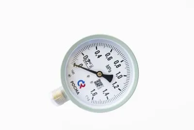 ТМ-511Р.00(0-1MPa)/(-30-+25C)G1/2.1,5.NH3.Двойная шкала МАНОМЕТР аммиачный 100мм, Тип - ТМ-511Р, ра