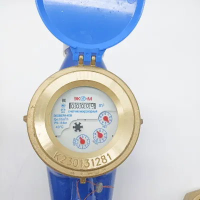 Счетчики воды Экомера 40М Мокроходный (Глицерин)