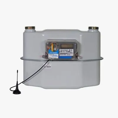 Счетчик газа СГВ-Вектор-G6,0-LR-GSM-(1 1/4-110)
