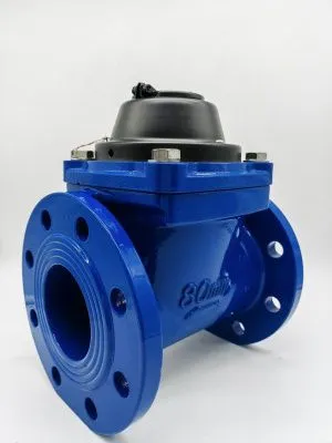 Счетчик воды ЭКОМЕРА-80Ф Холодный Фланцевый