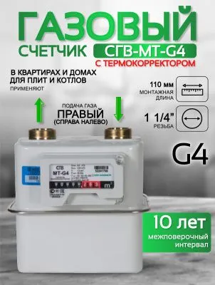 Счетчик газа СГВ-МТ-G4 RL