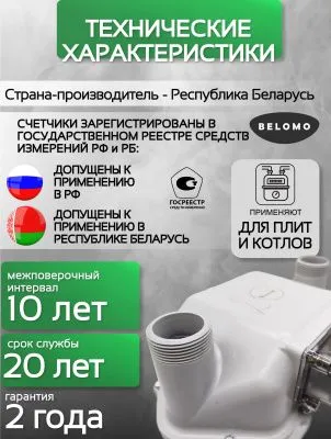 Счетчик газа СГД 3Т G 6 200 мм правый
