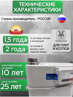 Счетчик газа СГВ-М-G6 RL