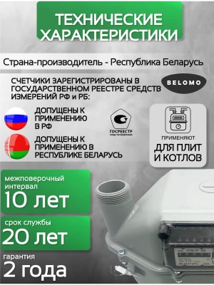 Счетчик газа СГД 3Т G 6 250 мм левый