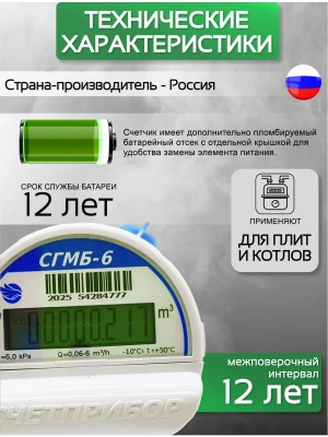 Газовый счетчик малогабаритный СГМБ-6 фланц. Замена РЛ