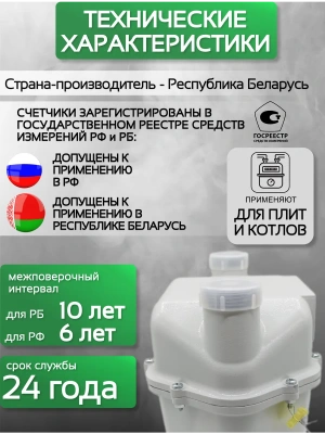 Счетчик газа СГМН-МТ-G6 250 мм правый