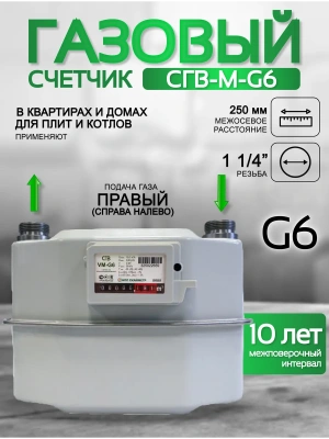 Счетчик газа СГВ-М-G6 RL