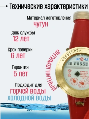 Счетчики воды ЭКОМЕРА 25Ч Универсальный (Чугун)